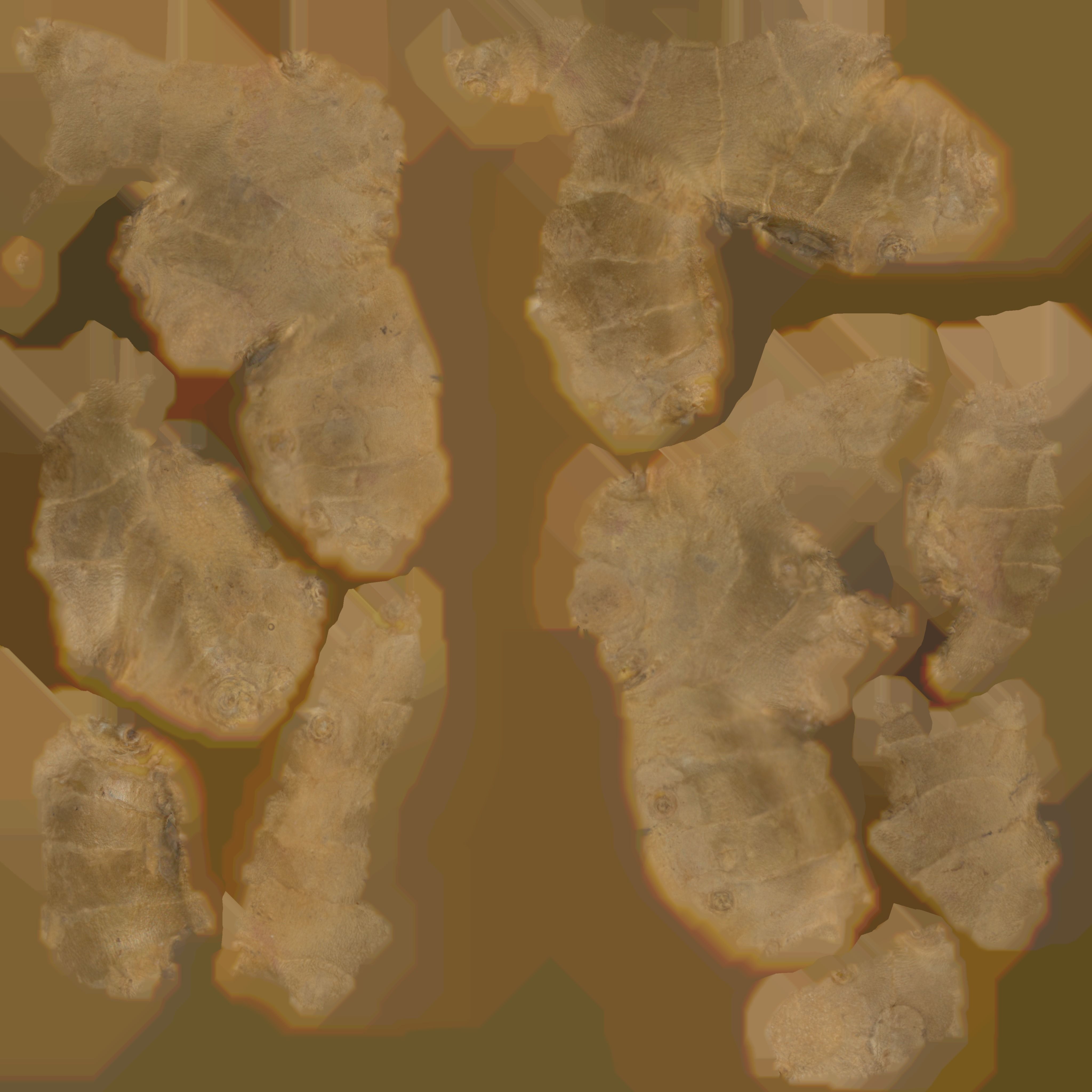 Ginger root Low-poly 3D model_12