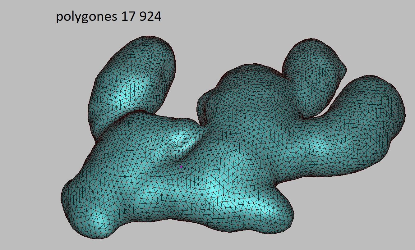 Ginger root Low-poly 3D model_8