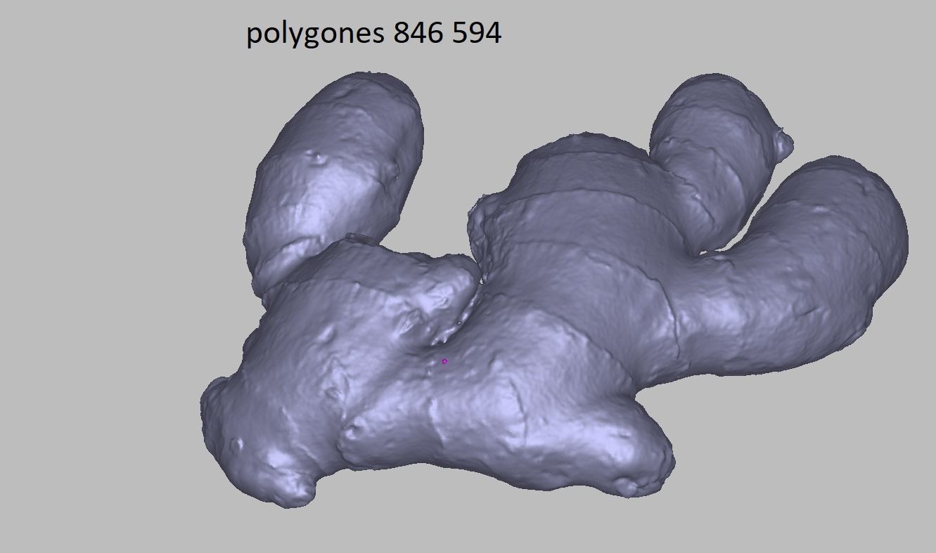 Ginger root Low-poly 3D model_6