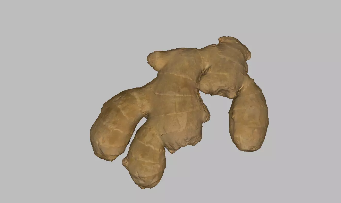 Ginger root Low-poly 3D model_0