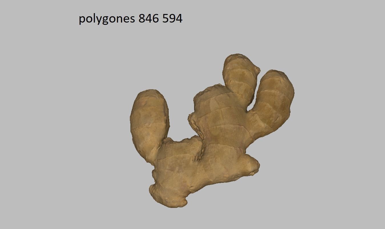 Ginger root Low-poly 3D model_3