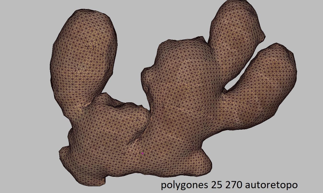 Ginger root Low-poly 3D model_5