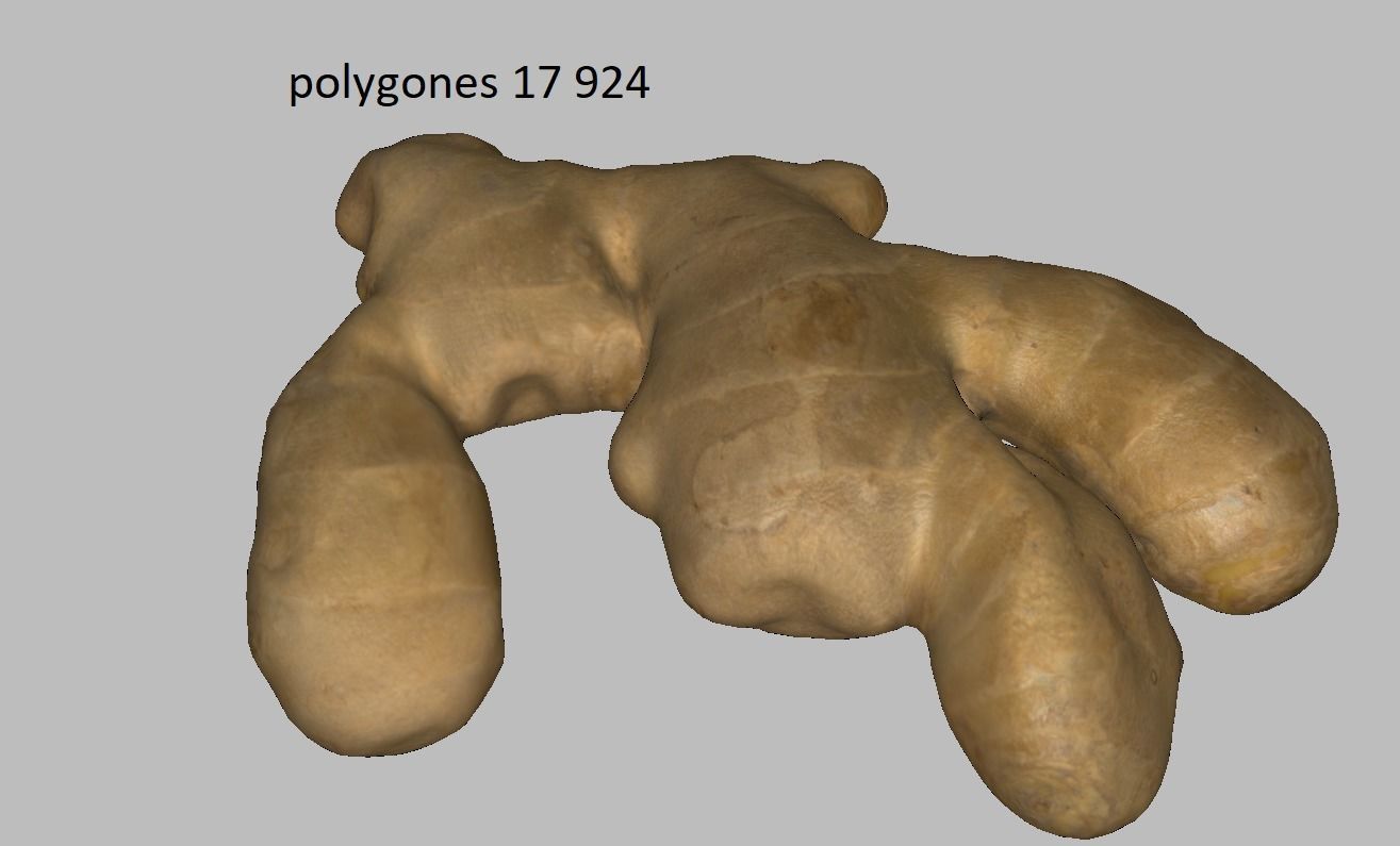 Ginger root Low-poly 3D model_9