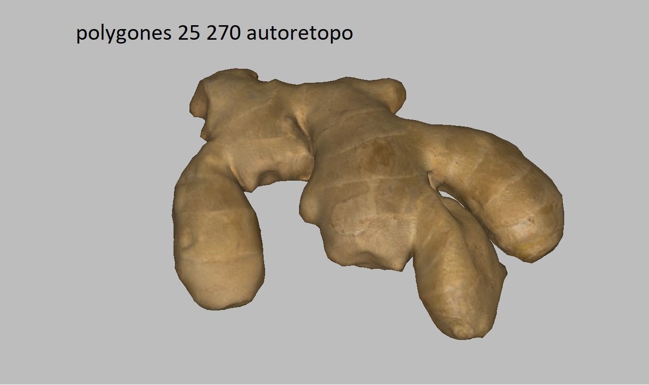 Ginger root Low-poly 3D model_4