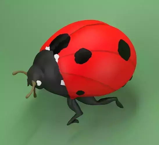 Ladybug Coccinellidae LOWPOLY Low-poly 3D model
