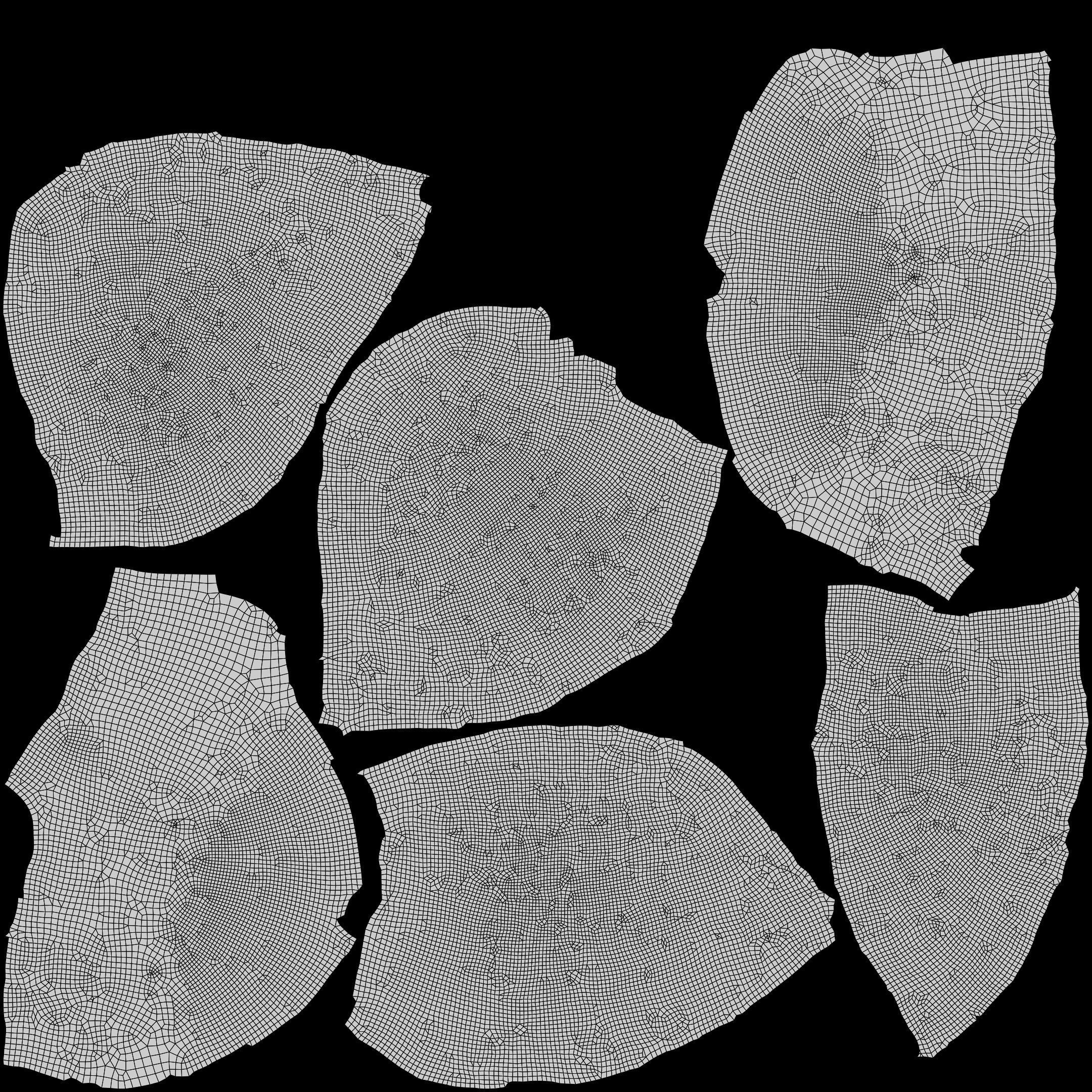 Sea Urchin Shell Low-poly 3D model_23