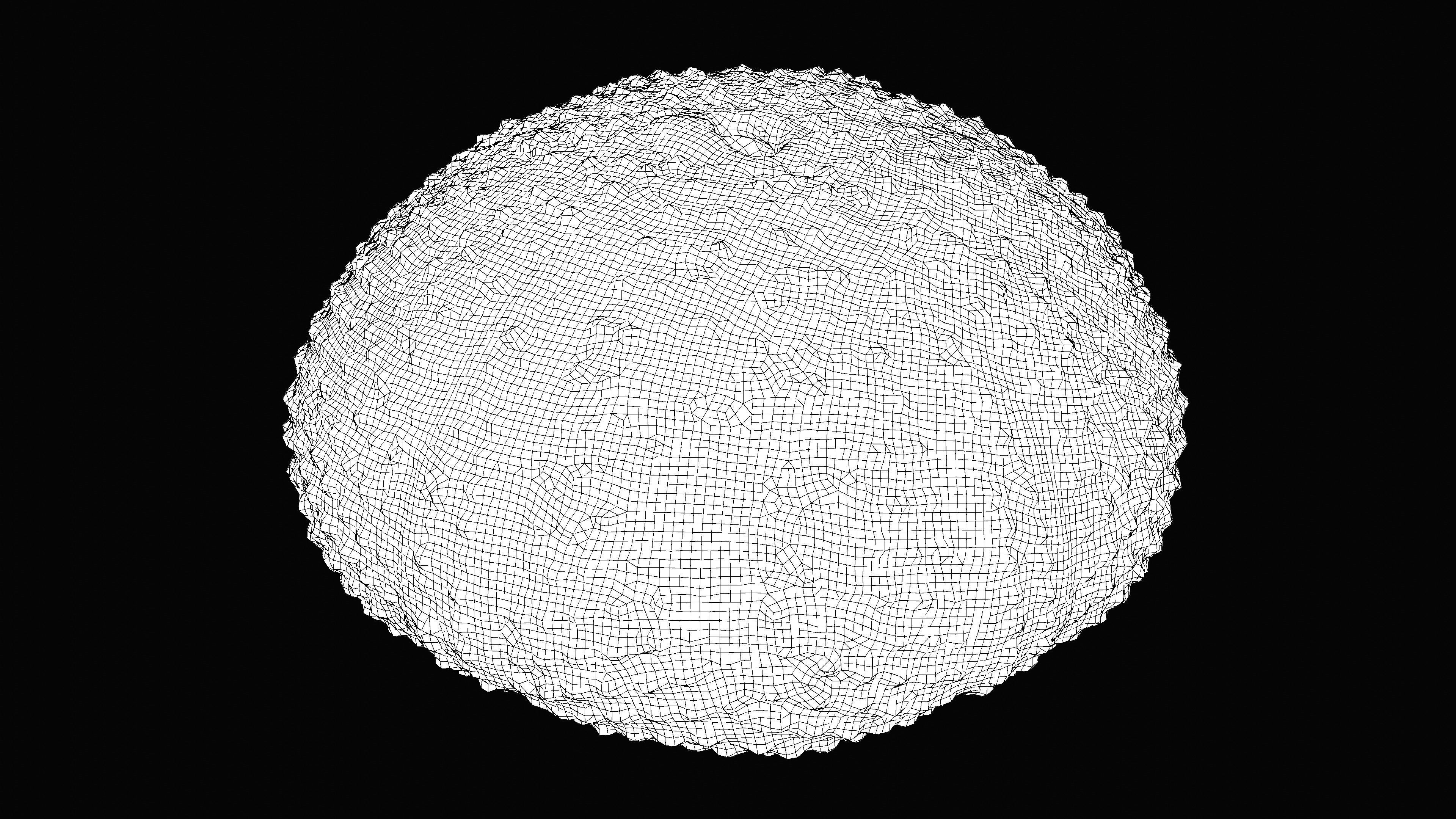 Sea Urchin Shell Low-poly 3D model_18
