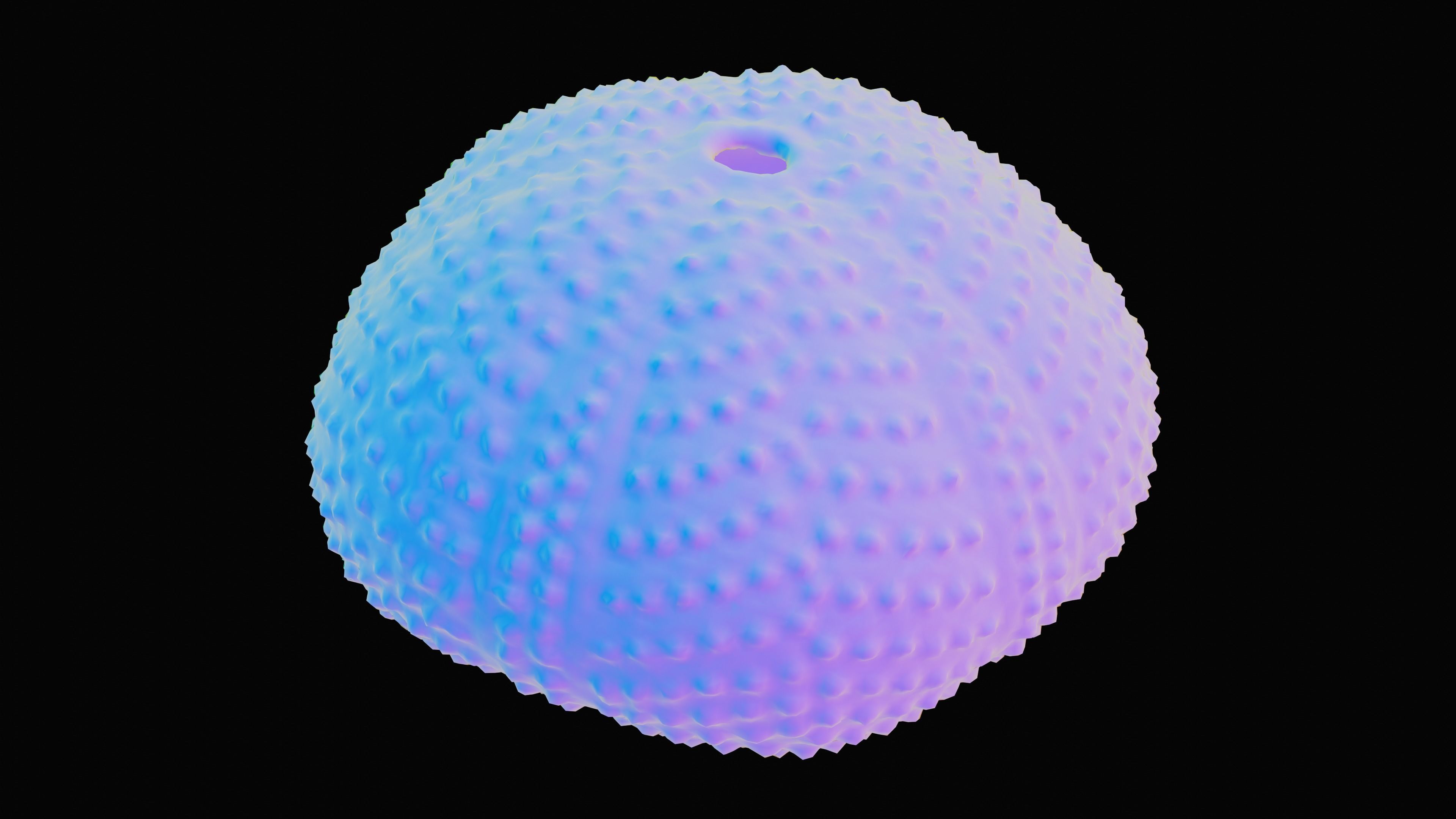 Sea Urchin Shell Low-poly 3D model_14
