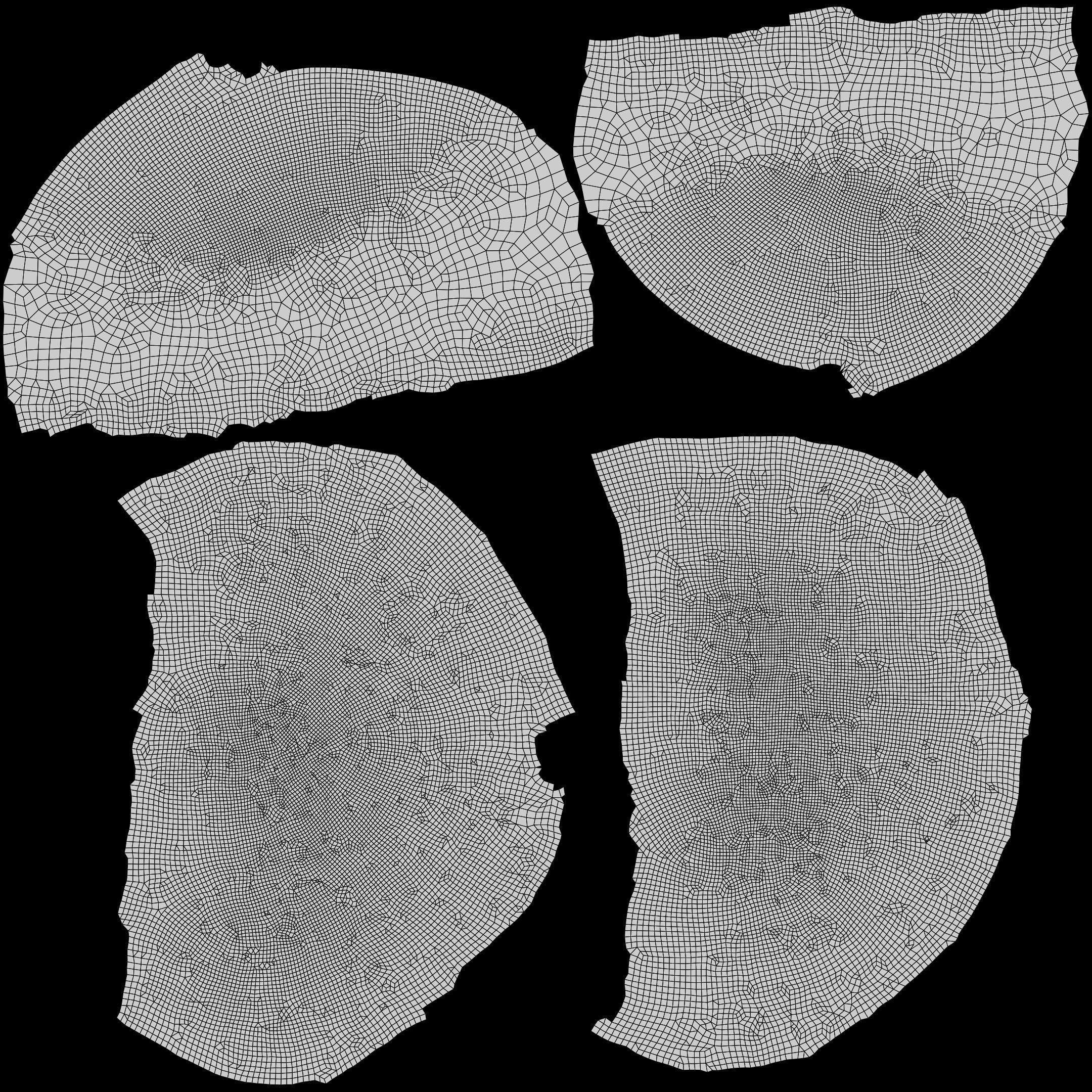 Sea Urchin Shell Low-poly 3D model_24