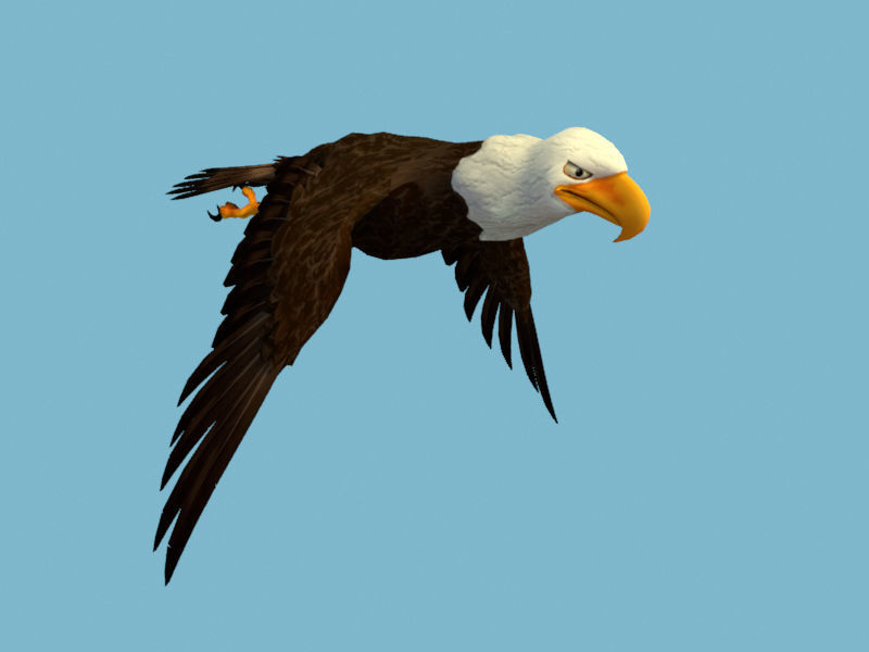 Eagle flying in sky 3D model_1