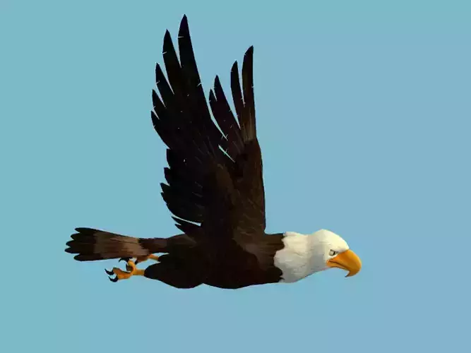 Eagle flying in sky