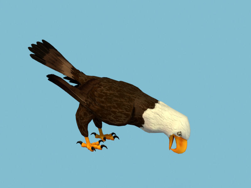 Eagle flying in sky 3D model_12