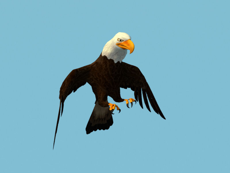 Eagle flying in sky 3D model_8