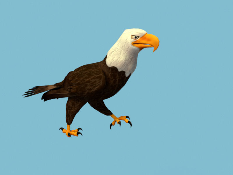 Eagle flying in sky 3D model_3