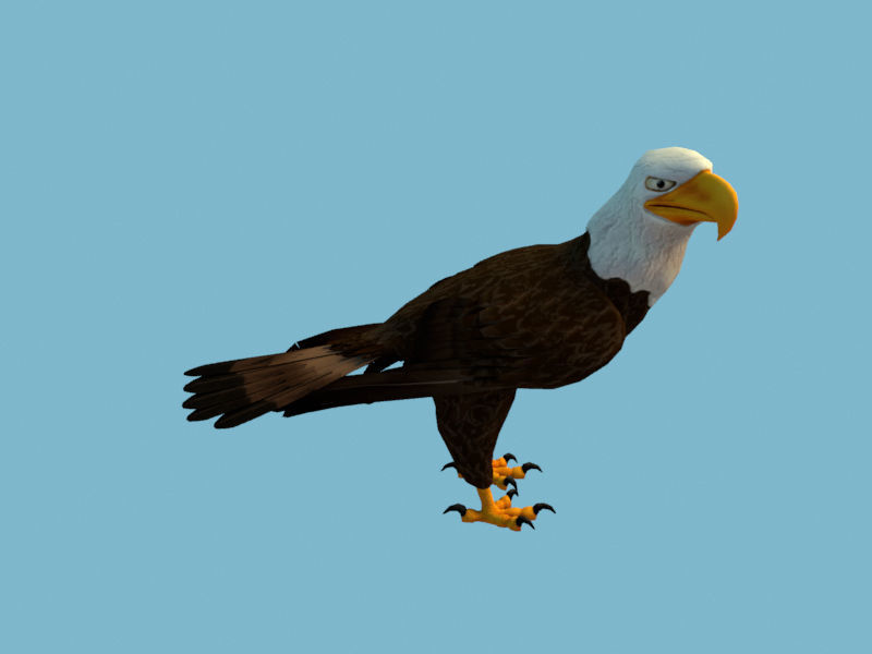 Eagle flying in sky 3D model_9