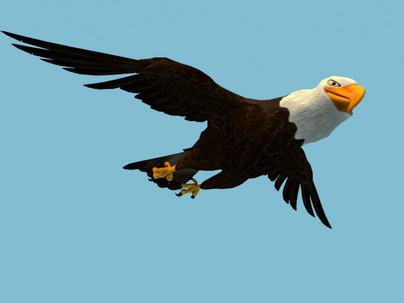 Eagle flying in sky 3D model_6