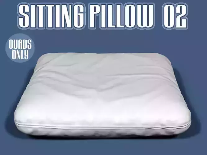 Sitting pillow 02
