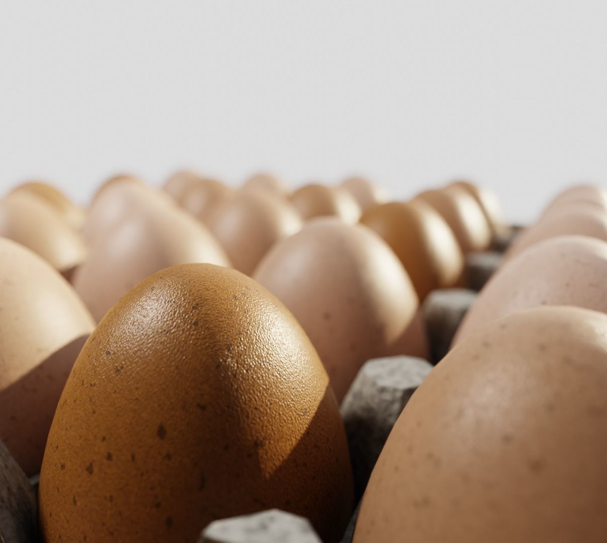 Egg carboard 3D model_2