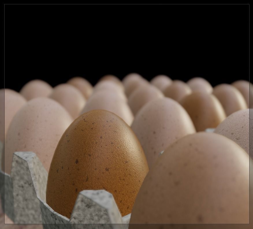 Egg carboard 3D model_13