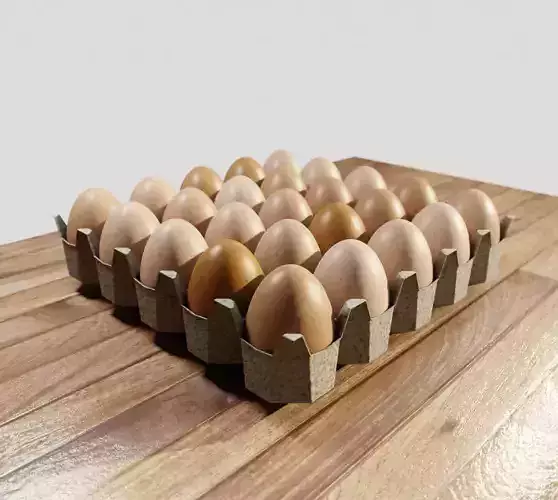 Egg carboard 3D model