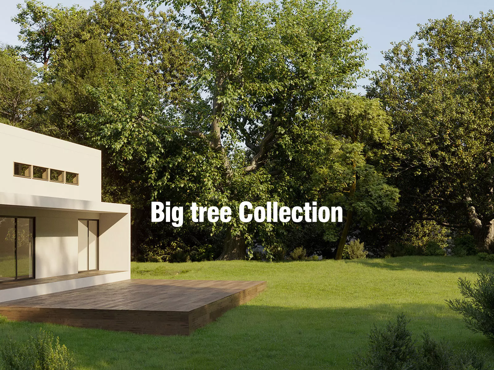 Big tree Collection - Include GrowFX and Mesh file 3D model_0