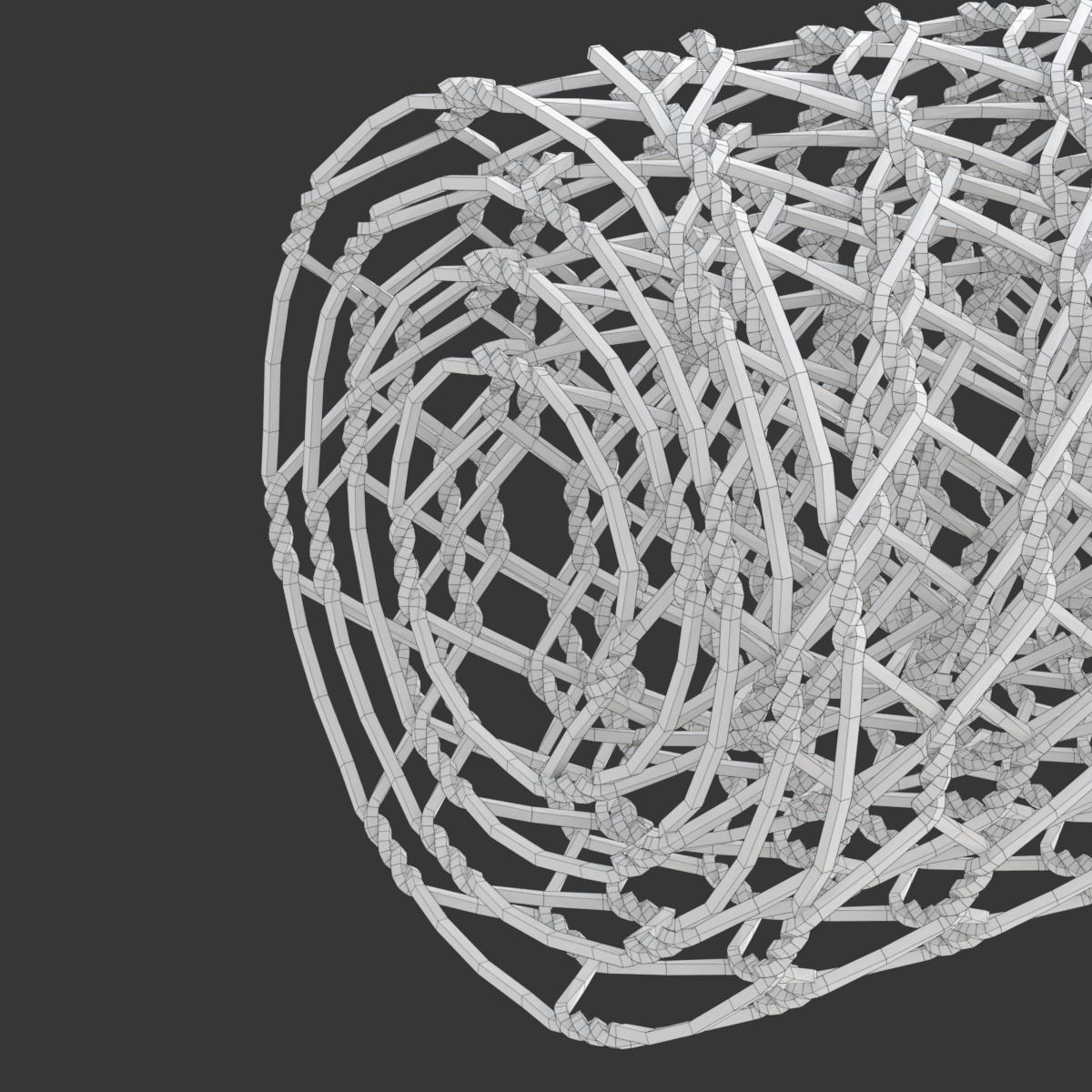 Adaptable Chicken Wire Mesh 3D model_19