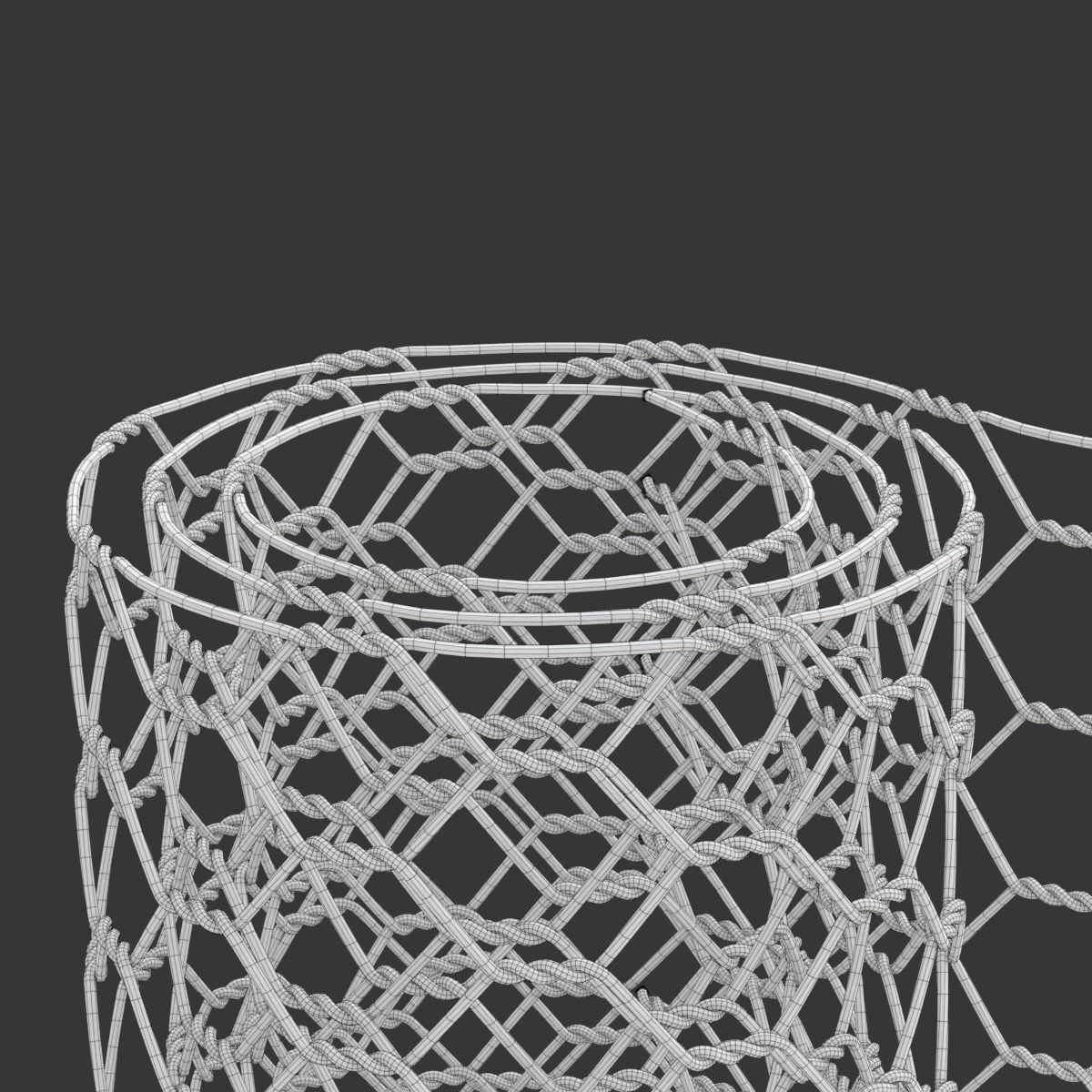 Adaptable Chicken Wire Mesh 3D model_21