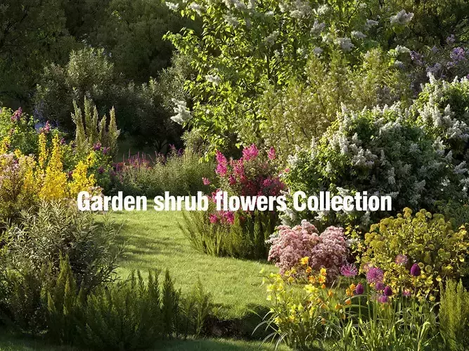 Garden shrub flowers Collection- Include GrowFX and Mesh file  3D model