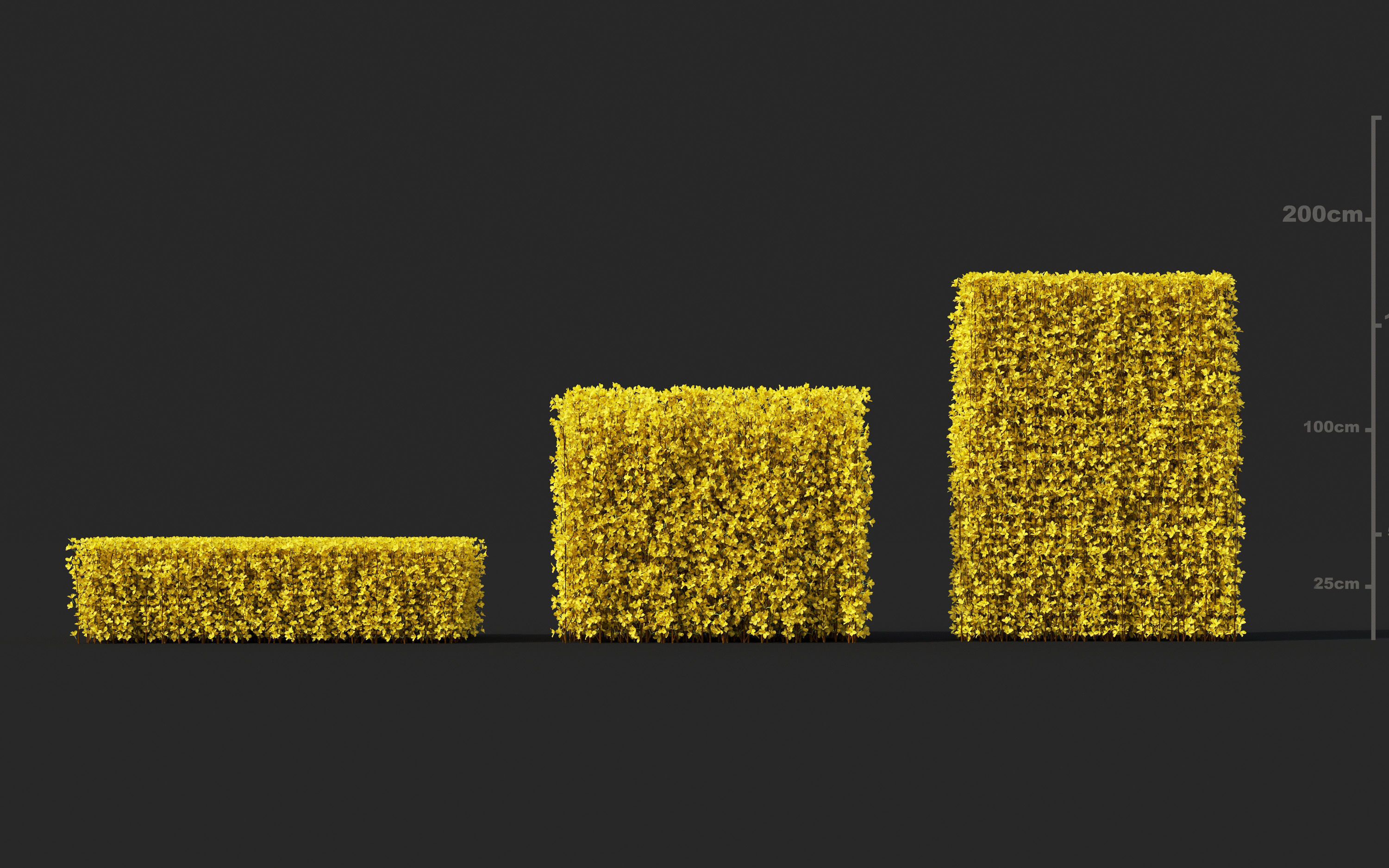 Garden shrub flowers Collection- Include GrowFX and Mesh file  3D model_19