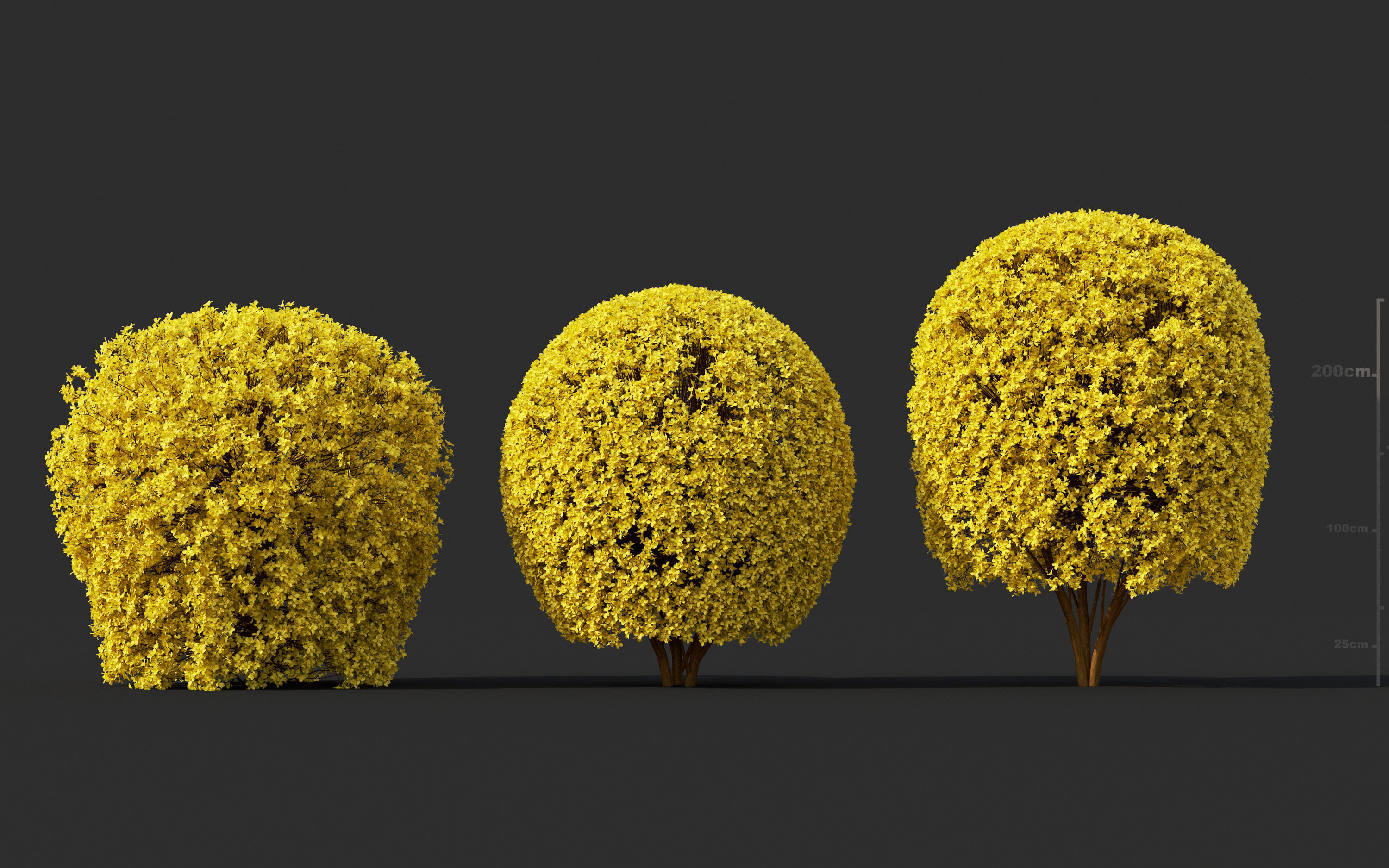 Garden shrub flowers Collection- Include GrowFX and Mesh file  3D model_20