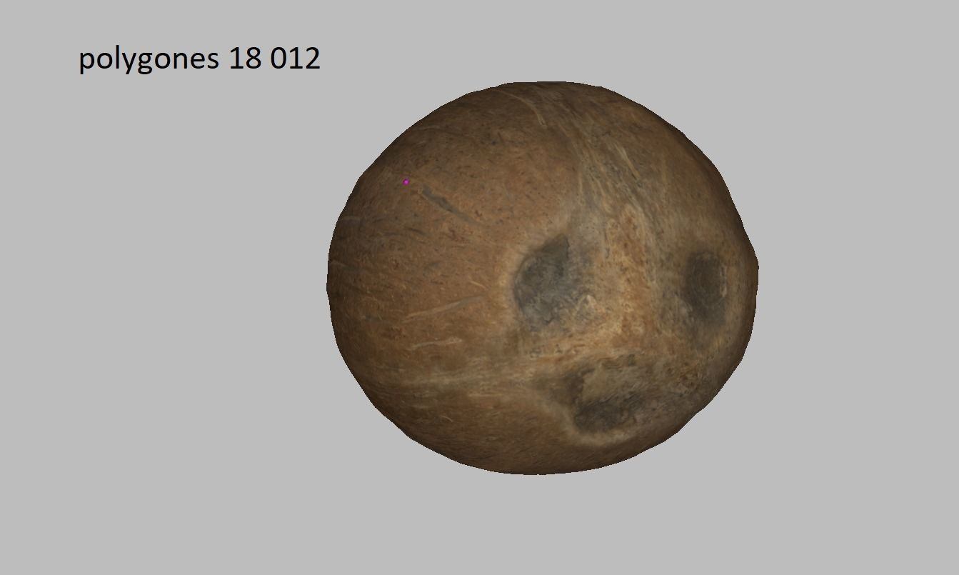 Coconut Low-poly 3D model_12