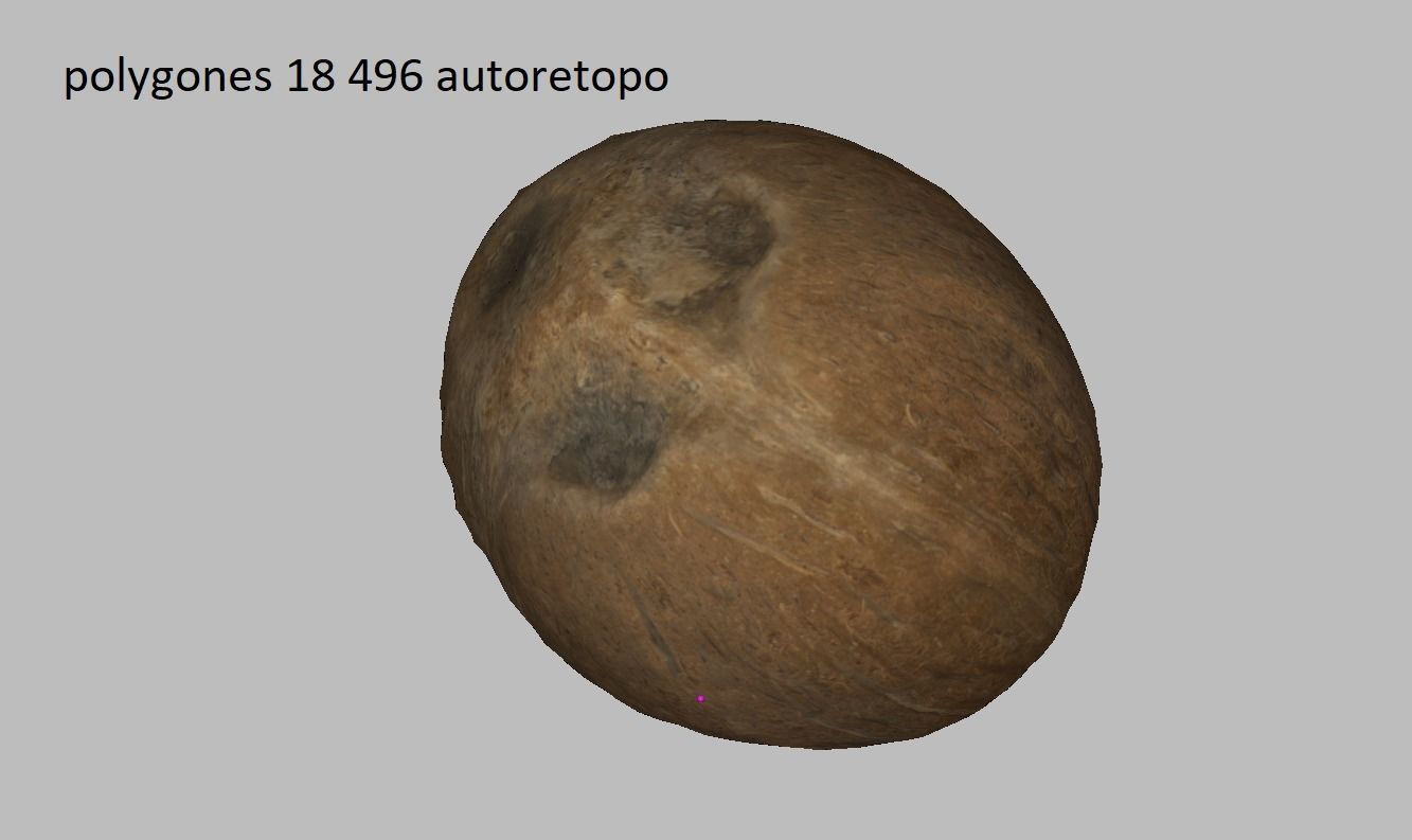 Coconut Low-poly 3D model_9