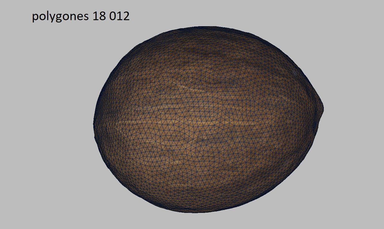 Coconut Low-poly 3D model_4