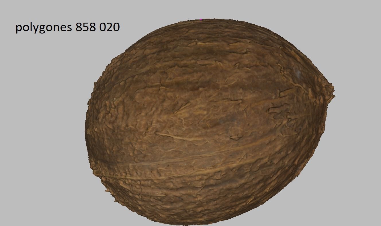 Coconut Low-poly 3D model_6