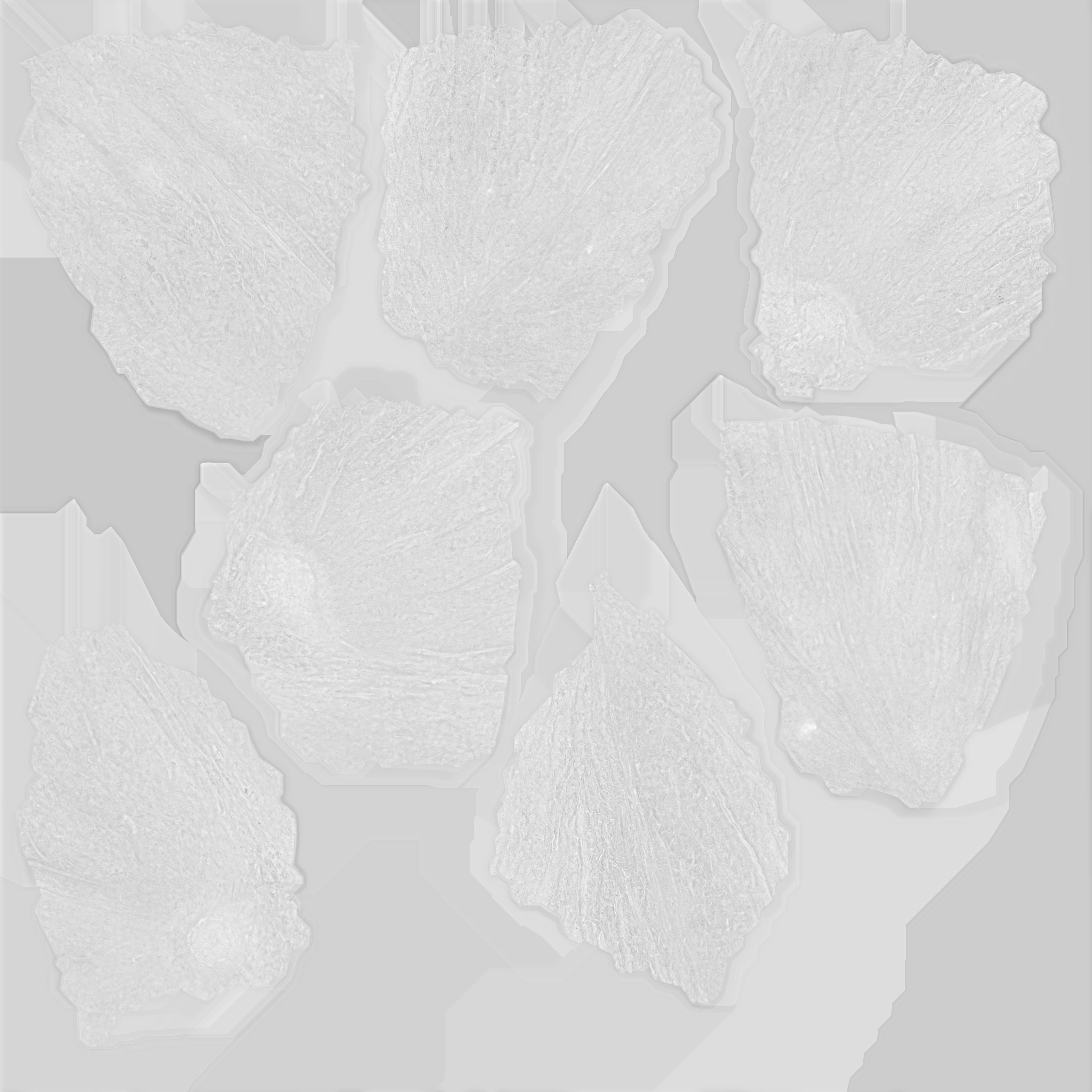 Coconut Low-poly 3D model_19