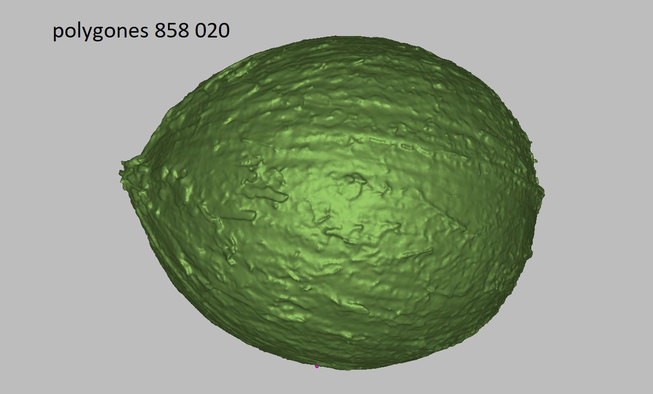 Coconut Low-poly 3D model_1