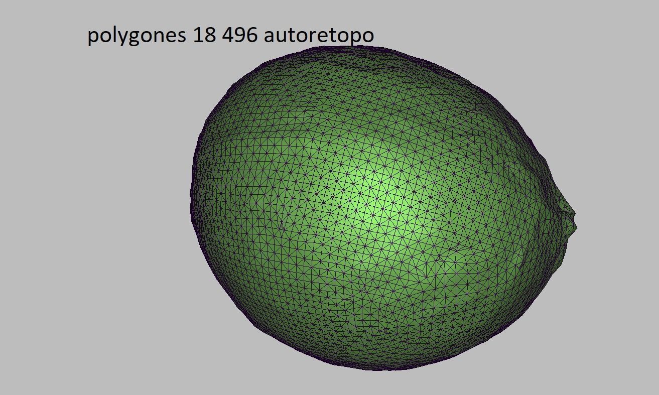 Coconut Low-poly 3D model_5