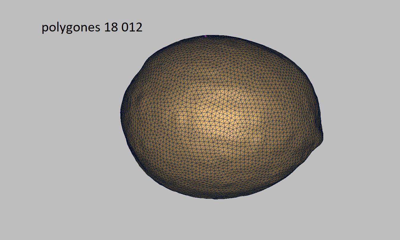 Coconut Low-poly 3D model_11