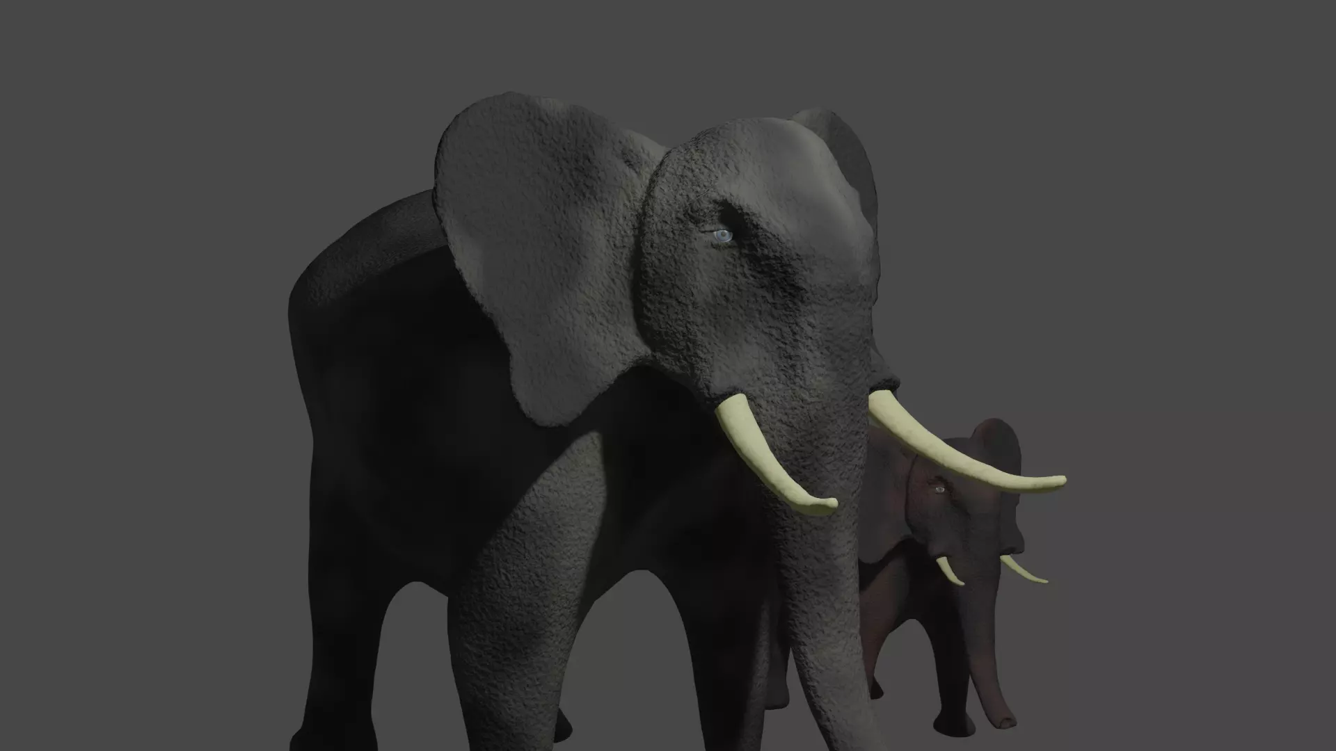 Elephant two elephants 3D model_0