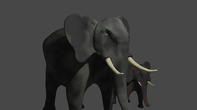 Elephant two elephants 3D model