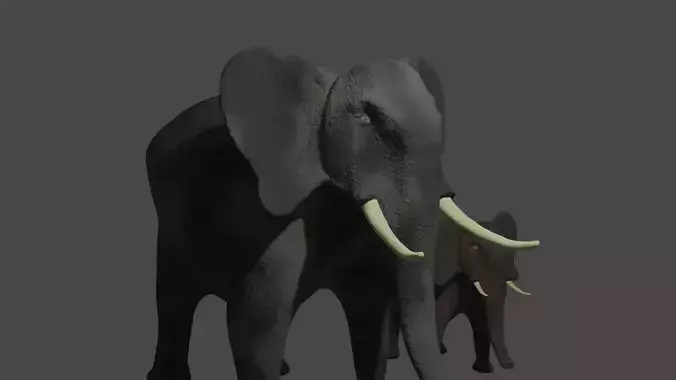 Elephant two elephants 3D model