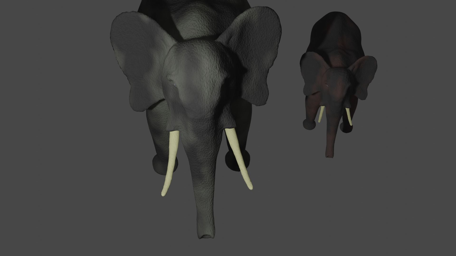 Elephant two elephants 3D model_3