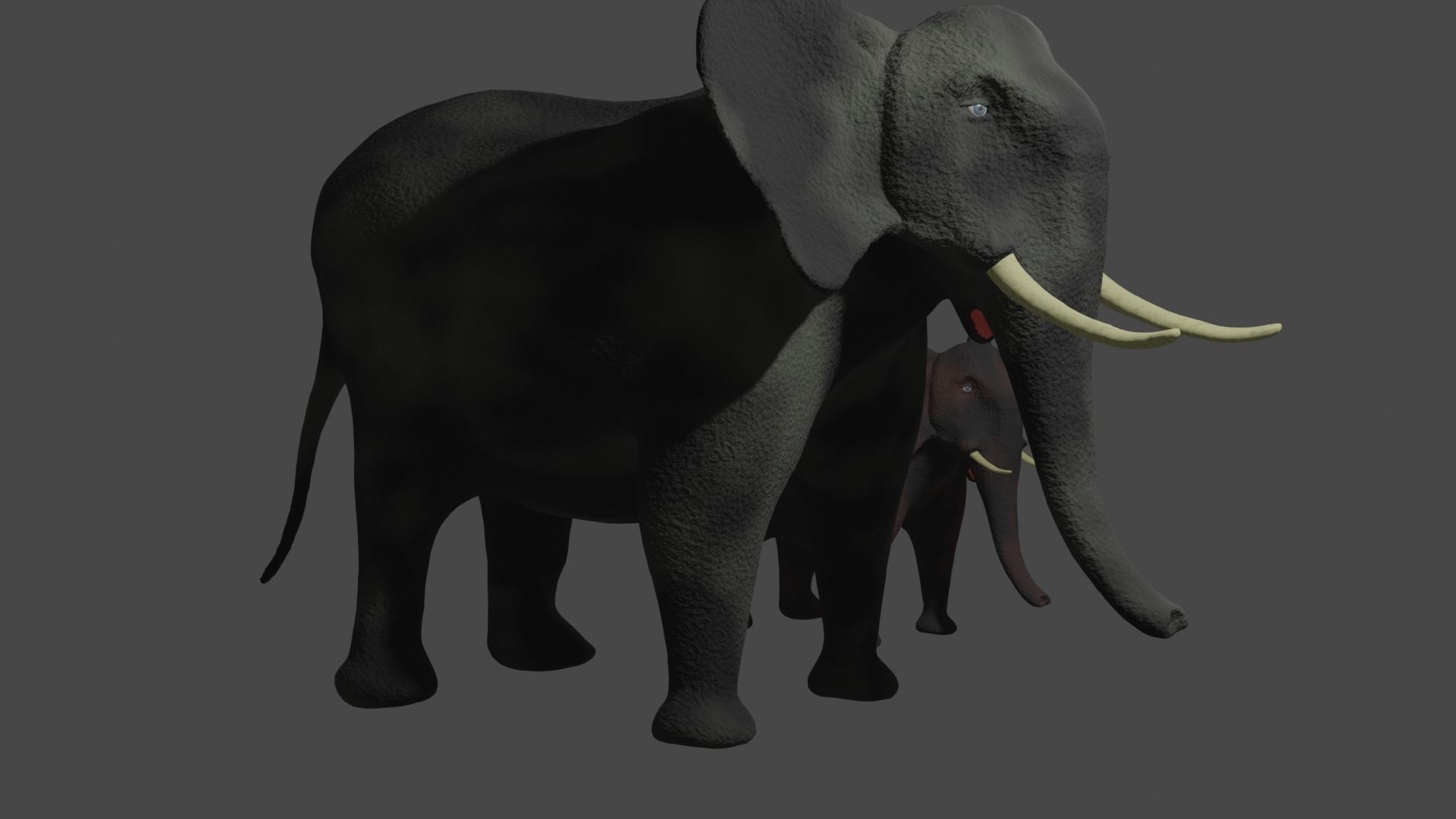 Elephant two elephants 3D model_2