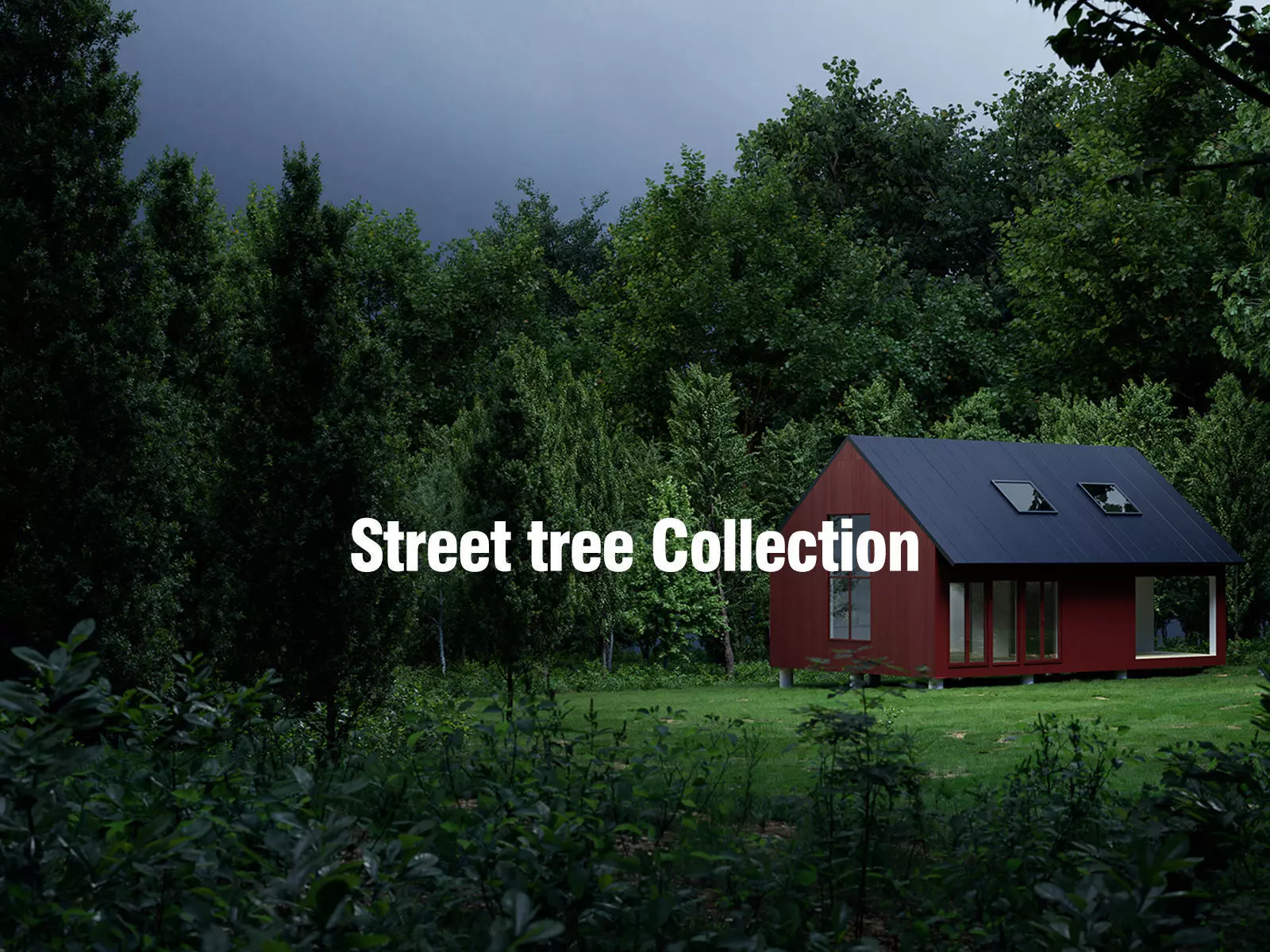 Street tree Collection - Include GrowFX and Mesh file  3D model_0