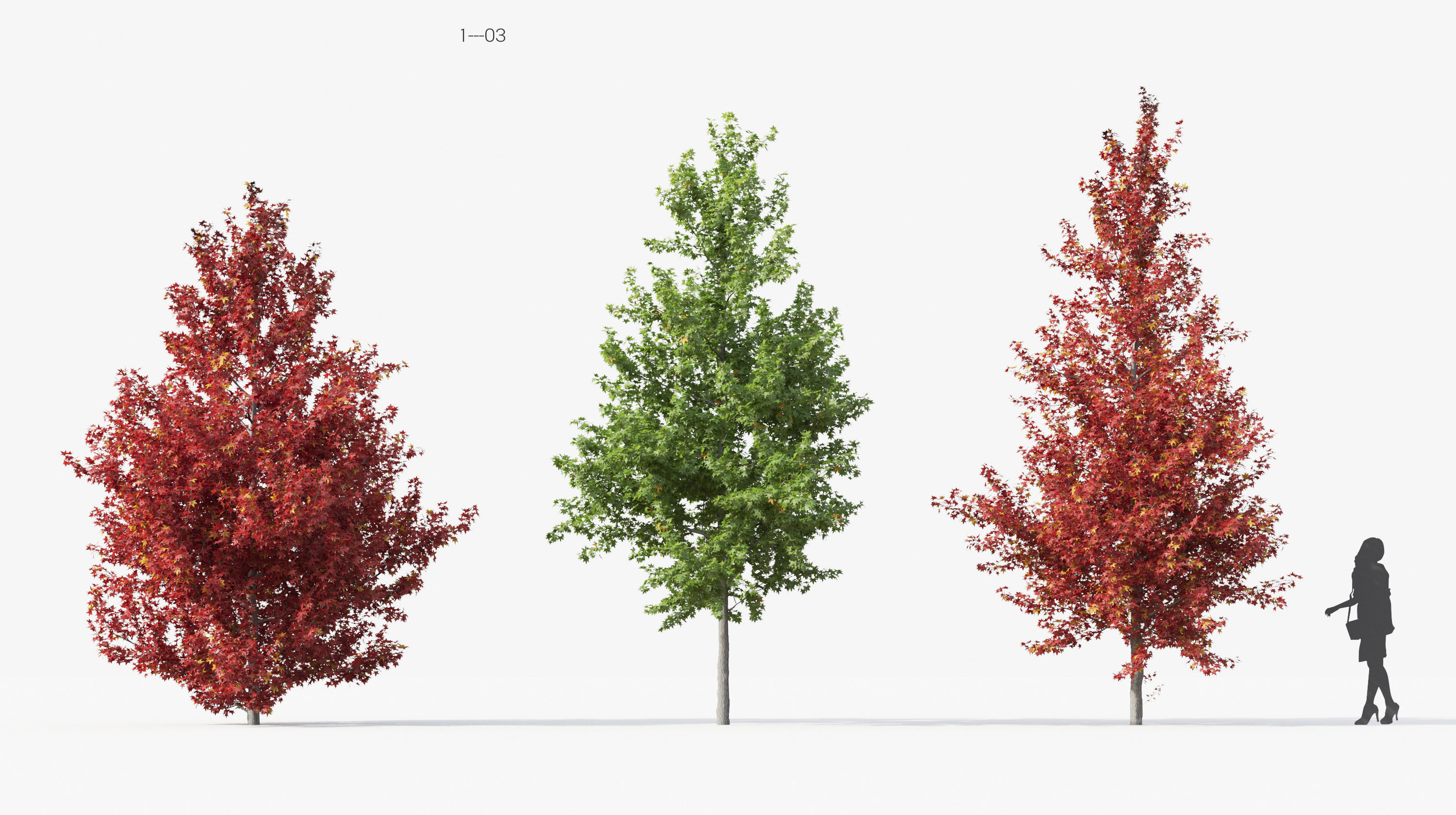 Street tree Collection - Include GrowFX and Mesh file  3D model_7
