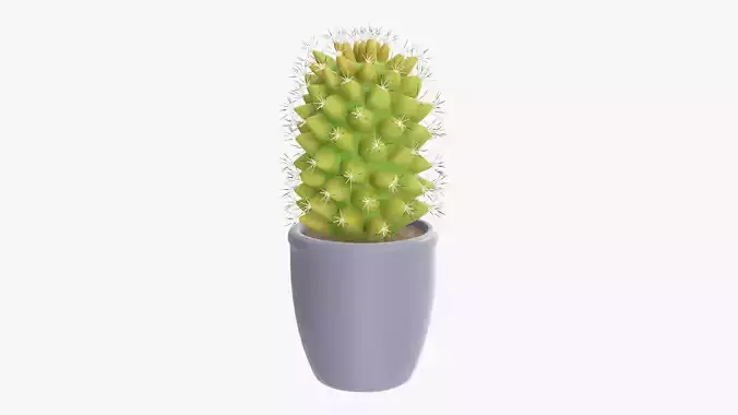 Tall cactus plant in pot 3D model