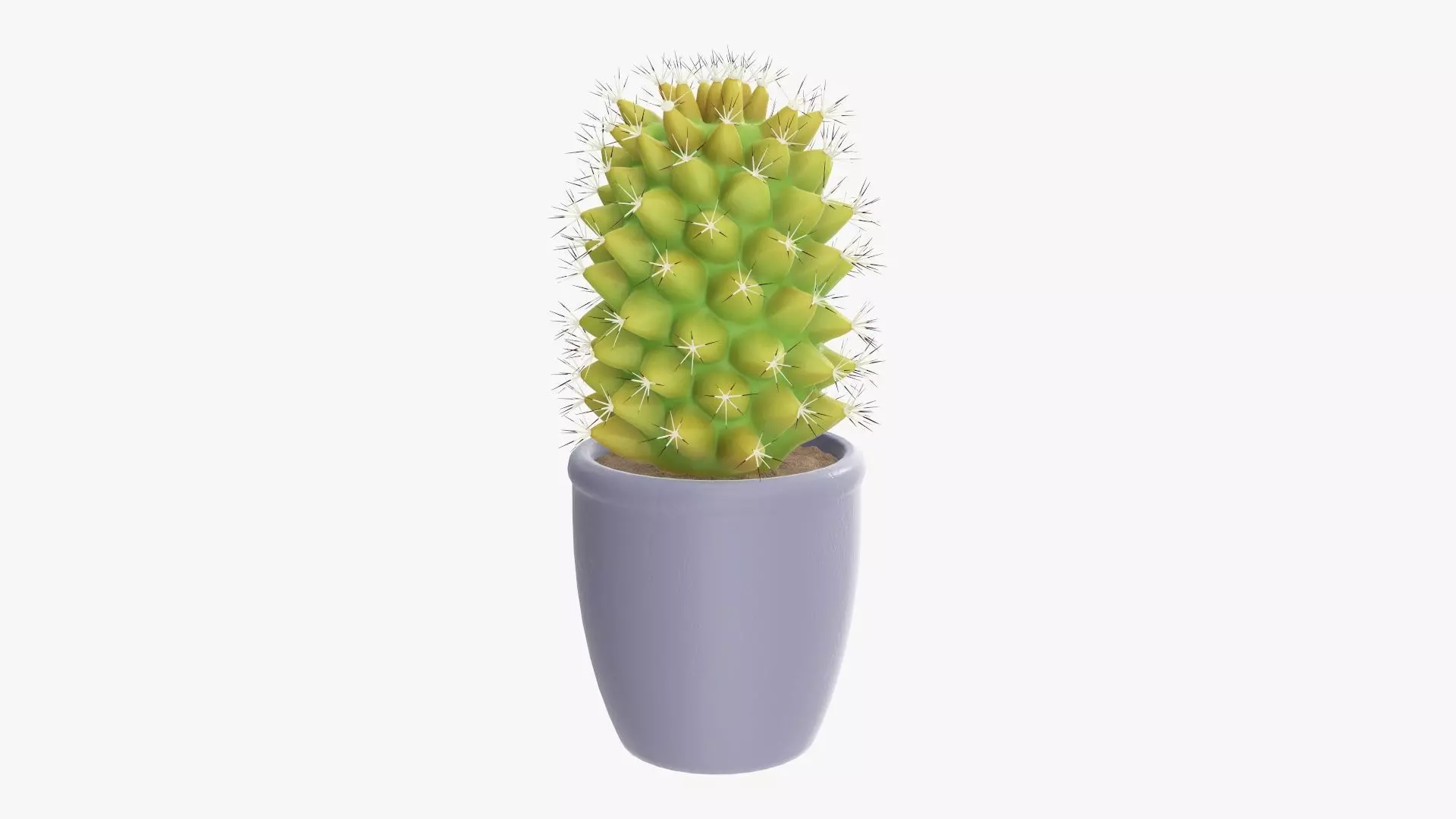 Tall cactus plant in pot 3D model