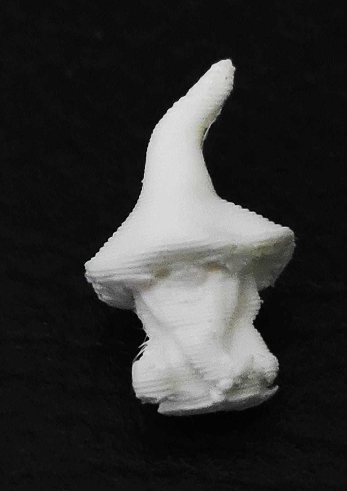Gnome House 3D print model_5