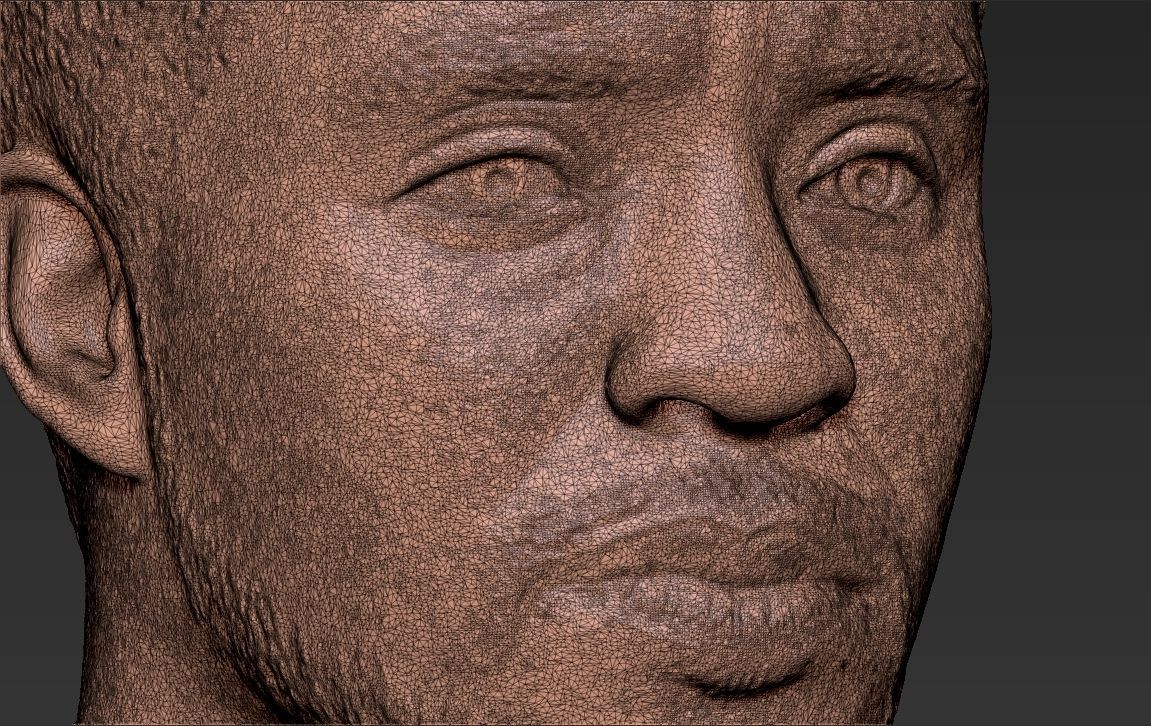 Chad Boseman Black Panther bust 3D printing ready stl obj 3D print model_33