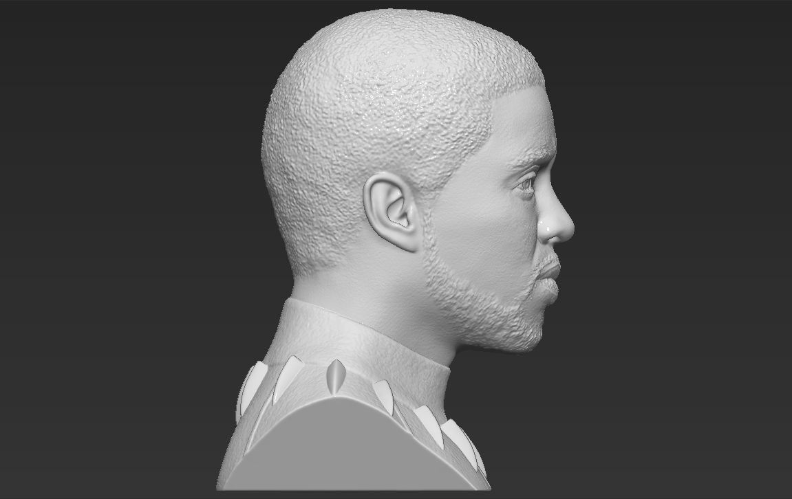 Chad Boseman Black Panther bust 3D printing ready stl obj 3D print model_13